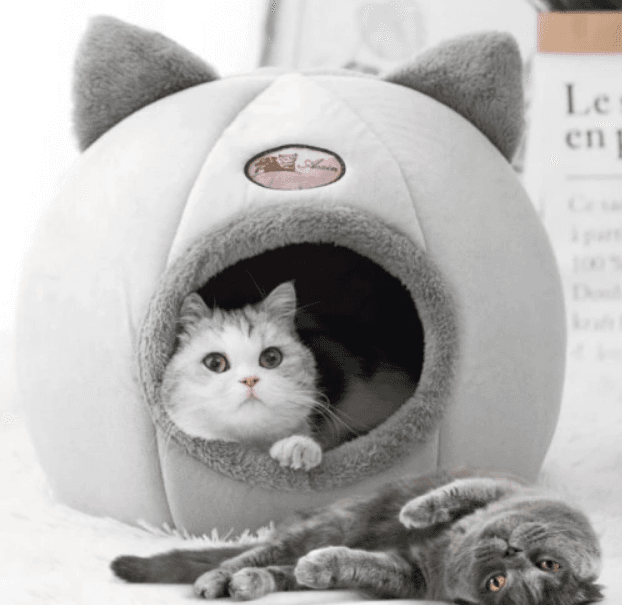 Pluszowa budka dla kota na zimę