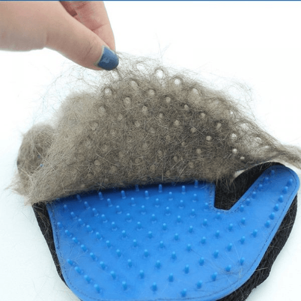 Rękawica do wyczesywania sierści PRAWA