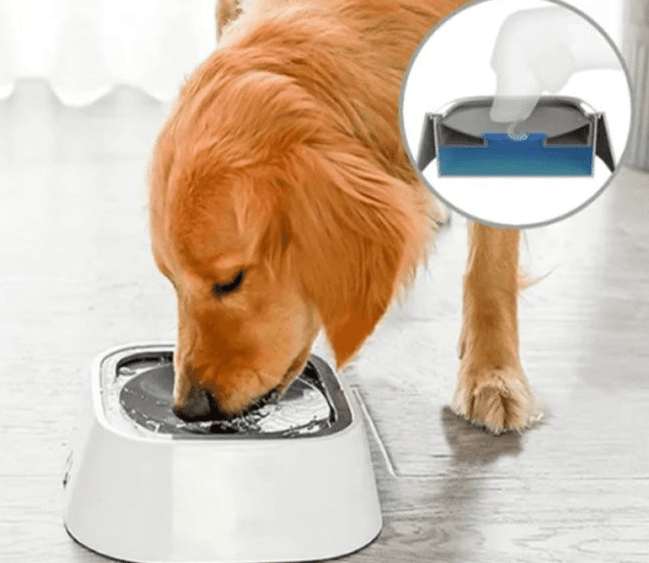 MISKA NA WODĘ PŁYWAJĄCA DLA PSA NIECHLAPIĄCA ANTYPOŚLIZGOWA 1,5L