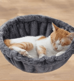 Drapak FEANDREA, drapak dla kota z dużą platformą