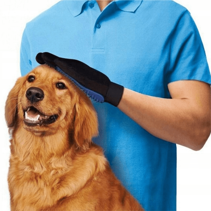 Rękawica do wyczesywania sierści PRAWA