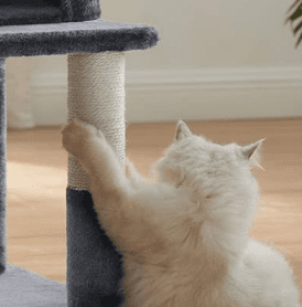 Drapak FEANDREA, drapak dla kota z dużą platformą