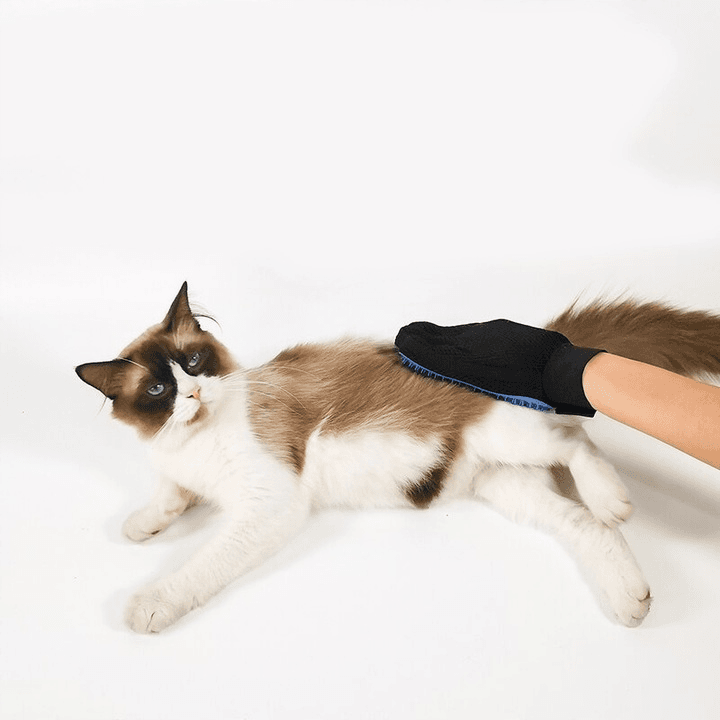 Rękawica do wyczesywania sierści PRAWA