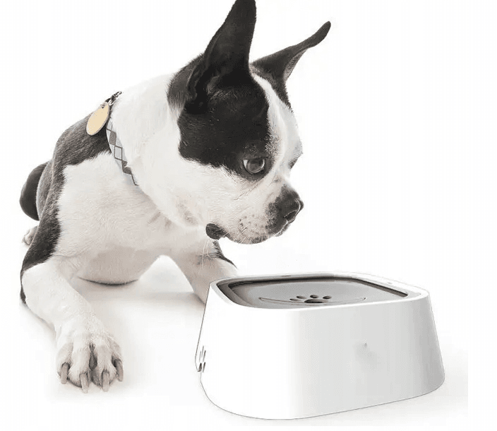 MISKA NA WODĘ PŁYWAJĄCA DLA PSA NIECHLAPIĄCA ANTYPOŚLIZGOWA 1,5L